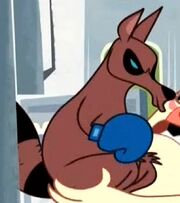 Kangaraccoon