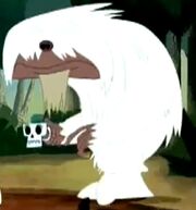 Yeti