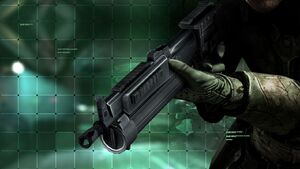 PP19