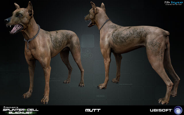 File:Dog.jpg