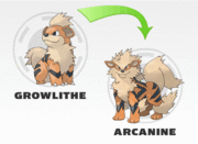 GrowlCanine
