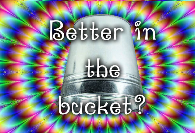 Plik:Better in the bucket.jpg