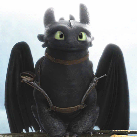 Plik:Nocna Furiaaaa.gif