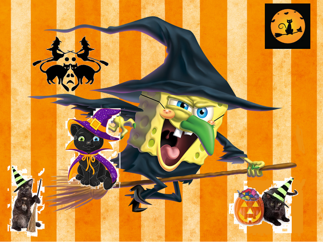 File:Contest.png
