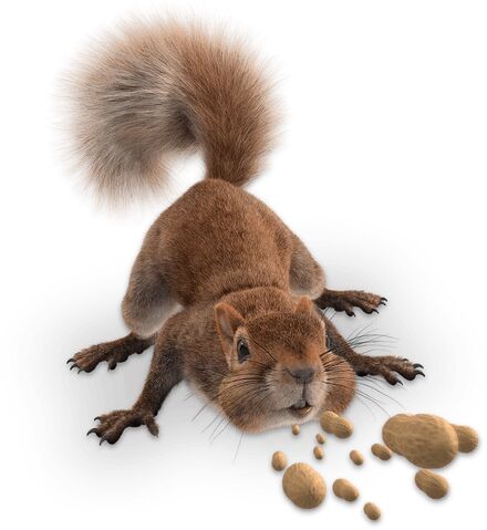 File:The Rodent.jpg
