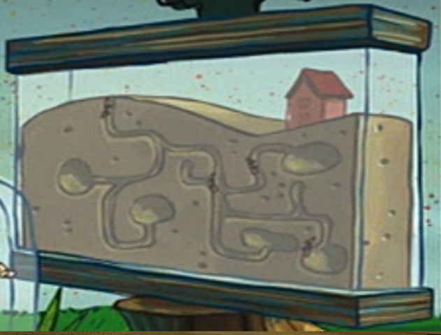 File:Sandy's Ant Farm.png