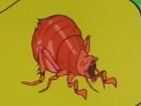 290px-TheFlea.jpg