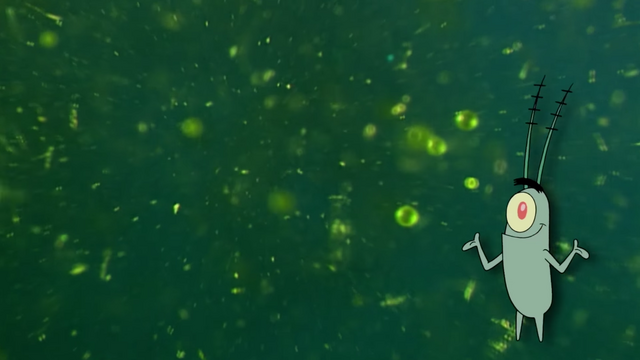 File:Plankton. A Thank You Would Be Nice. 22.png
