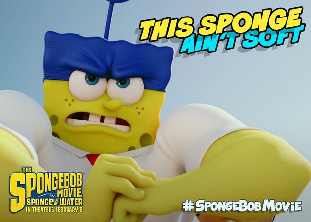File:This sponge ain't soft.jpeg