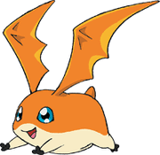 Patamon t