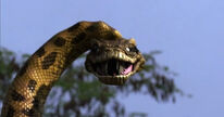 Anaconda4thr5ail1