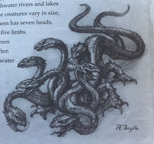 File:Scylla.jpeg