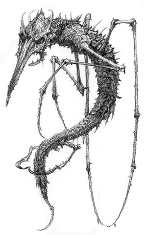 File:Skelt.jpg