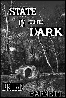 State of the Dark