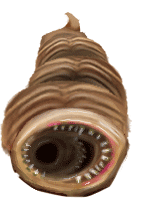 Spec 10 3 anim