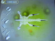 Microbial2.jpg