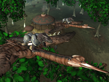 LibertusFlyer