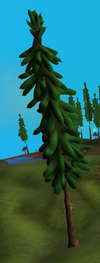 Drzewo 1.png