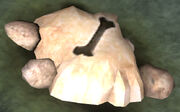 Fossilized domesticated ani