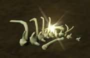 Bone Pile