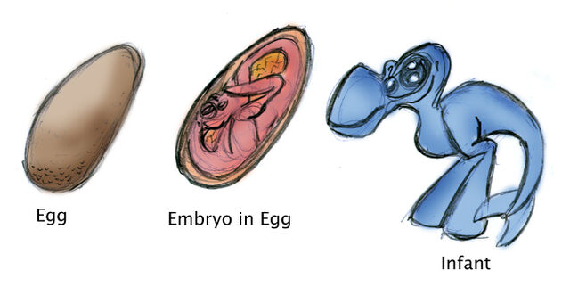 File:Naucean egg.jpg