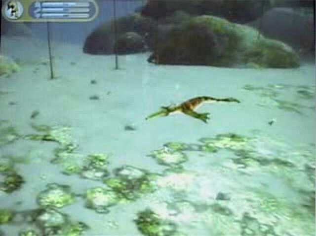 File:UnderWaterCreature.jpg