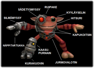 Kropoanatomia.png