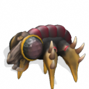 IxlaxLarvae