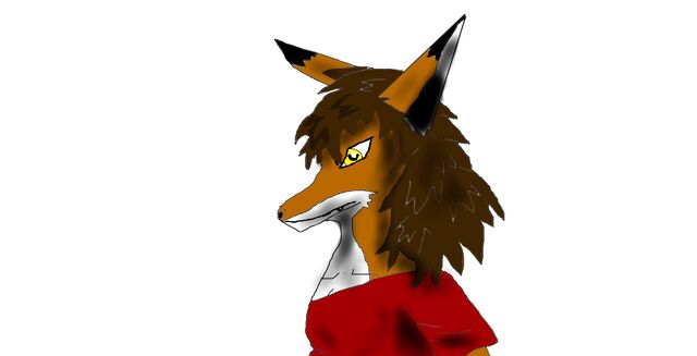 File:Fox Furry 2.jpg