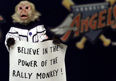 Rally monkey
