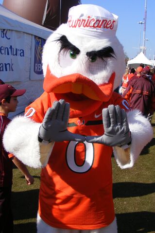 File:Sebastian the Ibis.jpg