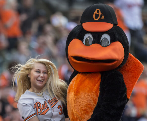 File:Oriole.jpg