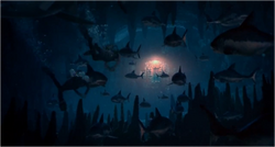 TheCaveOfSleepingSharks