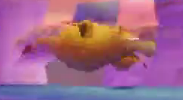 File:Cockatrice.png