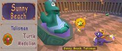 Turtle Medallion.jpg