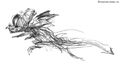 Thumbnail for version as of 02:42, June 14, 2012