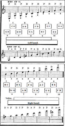 File:Anglofingeringchart.png