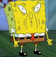 CHINESEBOB ASIANPANTS