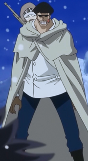 Vergo at Age 28