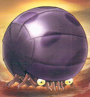 Megonta