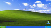 45-Percent-of-Companies-Are-Still-Running-Windows-XP-2
