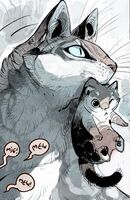 MommyCat