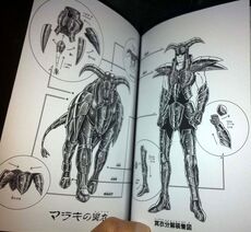 Sobrepeliz de Moloch