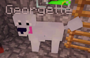 Georgette