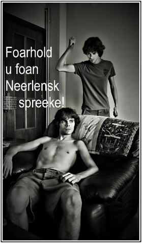 Bestand:Skeendprop01.png