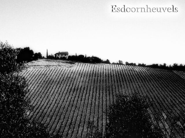 Bestand:Maple Hills 1919.jpg