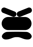 Chassis Malicious.png