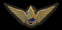 FighterInsigna