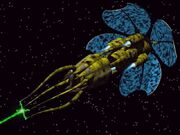 EhoShip