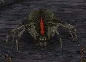 SmallSpider
